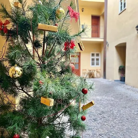Old Town Daire *
